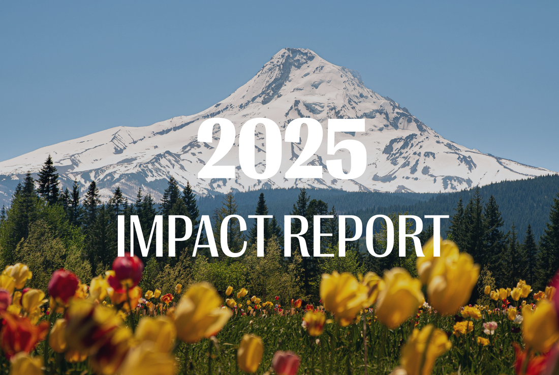 2025 Impact Report