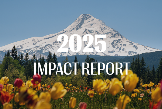 2025 Impact Report