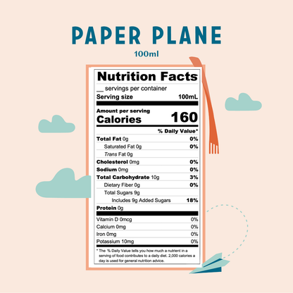 Paper Plane